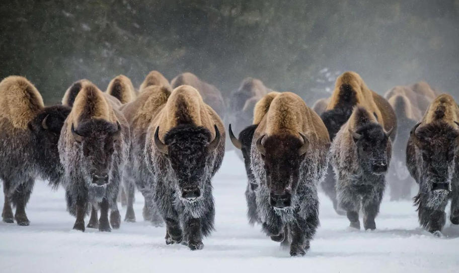 婚车租赁合川最好的婚庆公司轮播图1